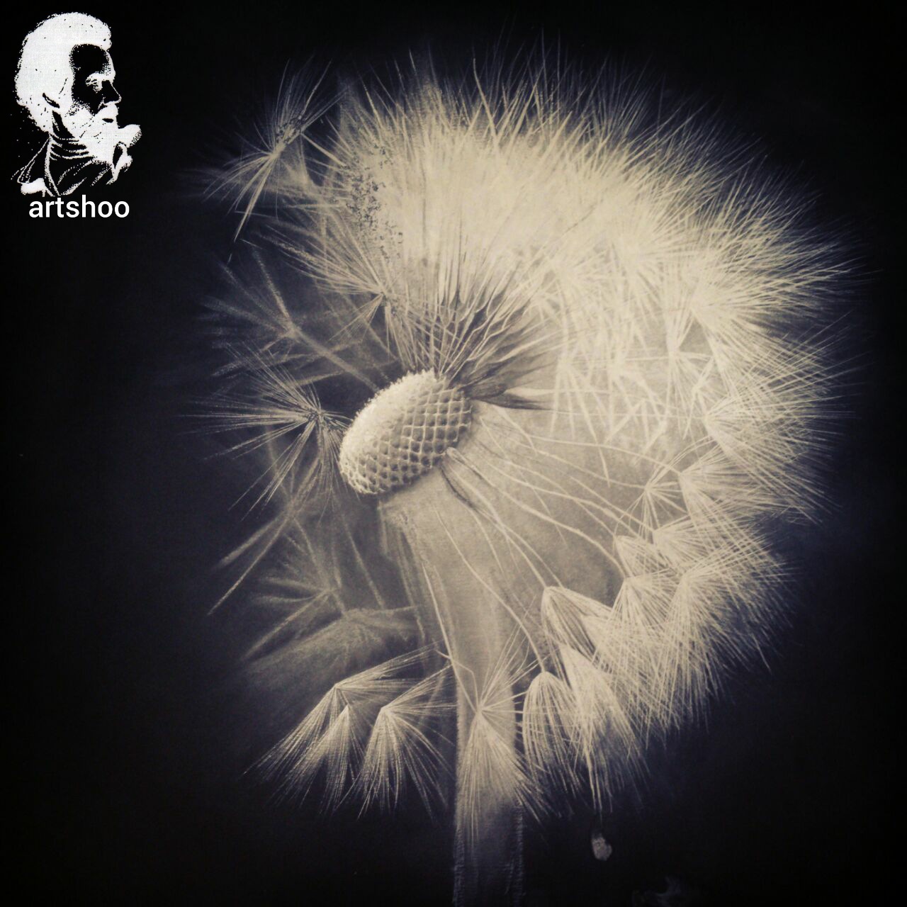 سیاه قلم مدل مداد سفید